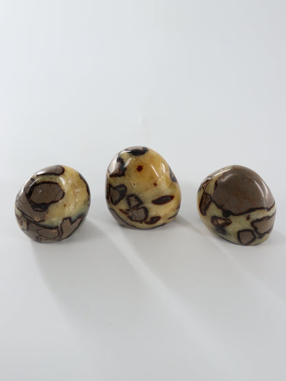 Septarian Freeforms Set of 12 - Expert Wholesale and Supplier of Wholesale Crystals & Bulk Gemstones, []