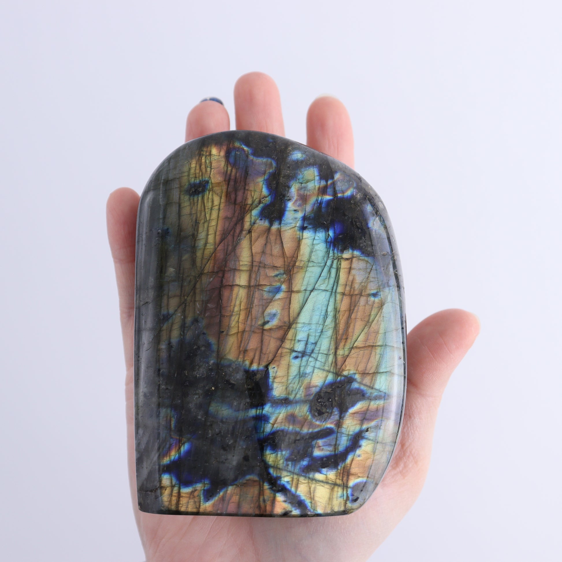 Labradorite Freeform Set of 4 - Expert Wholesale and Supplier of Wholesale Crystals & Bulk Gemstones, ["Freeforms","Labradorite","Madagascar"]