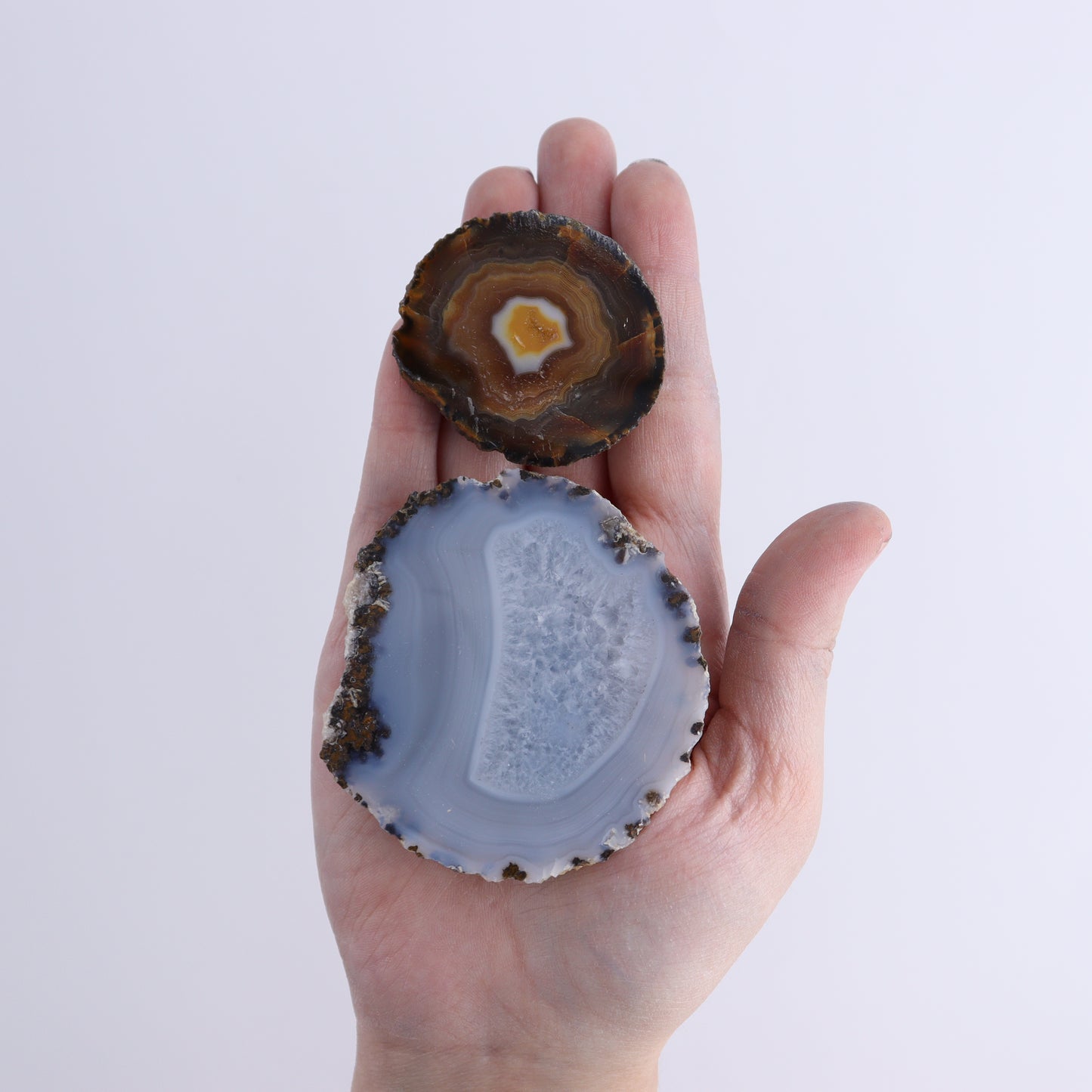 Agate Geodes Flat of 25 - Expert Wholesale and Supplier of Wholesale Crystals & Bulk Gemstones, ["Agate","flat","Flats","Geodes"]