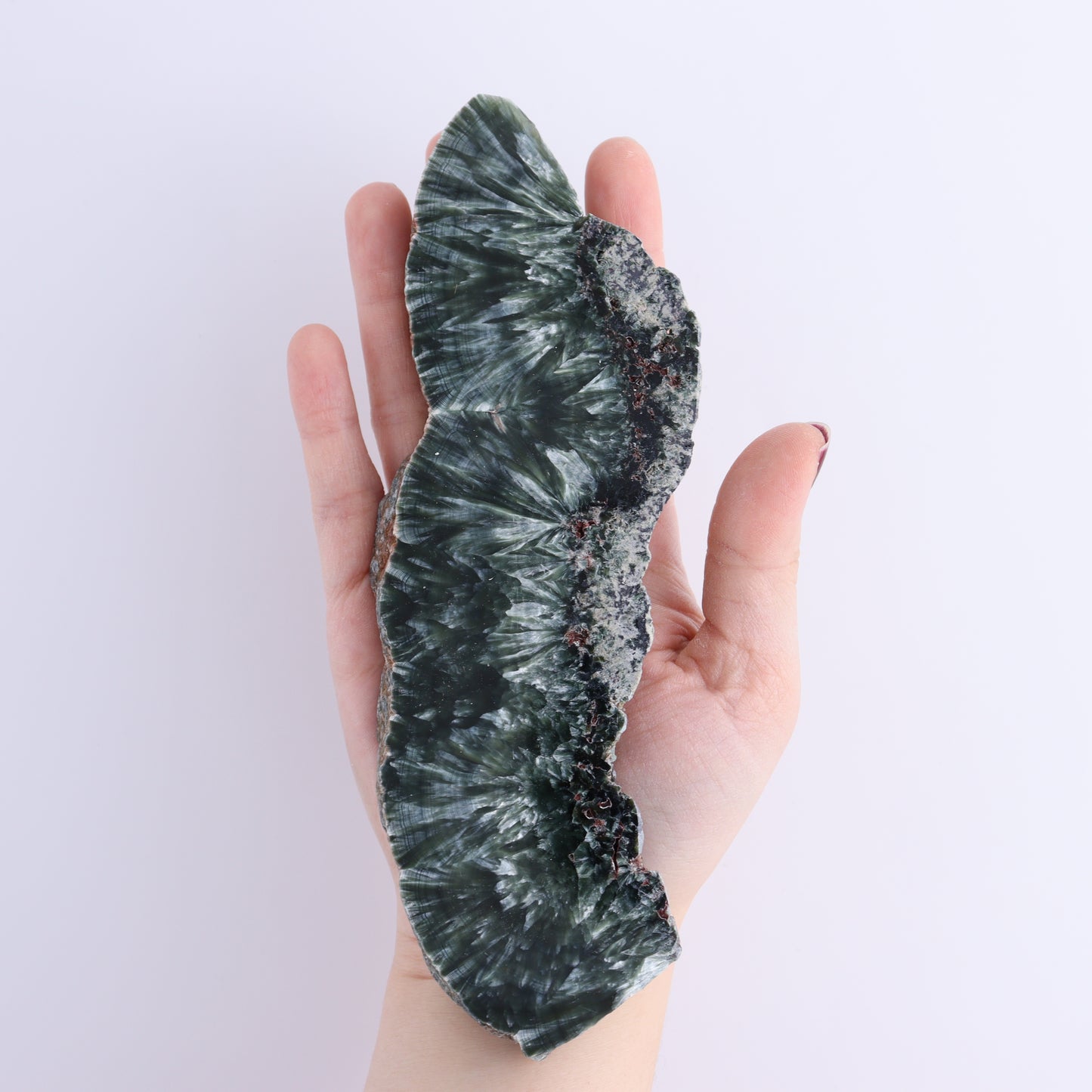 Seraphinite Slices Set of 3 - Expert Wholesale and Supplier of Wholesale Crystals & Bulk Gemstones, ["Russia","Seraphinite","Slices and Slabs"]