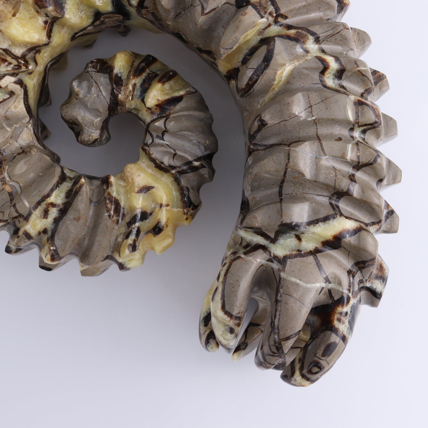 Septarian Mixed Carving - Expert Wholesale and Supplier of Wholesale Crystals & Bulk Gemstones, ["Madagascar","Septarian"]