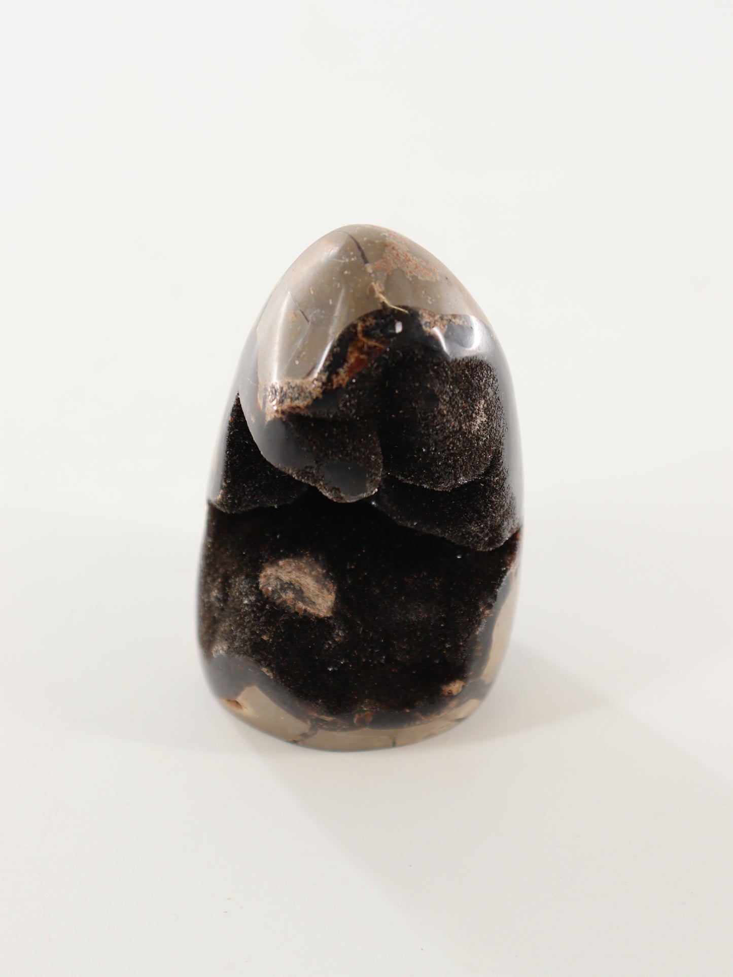 Septarian Cut Bases Set of 4 - Expert Wholesale and Supplier of Wholesale Crystals & Bulk Gemstones, []