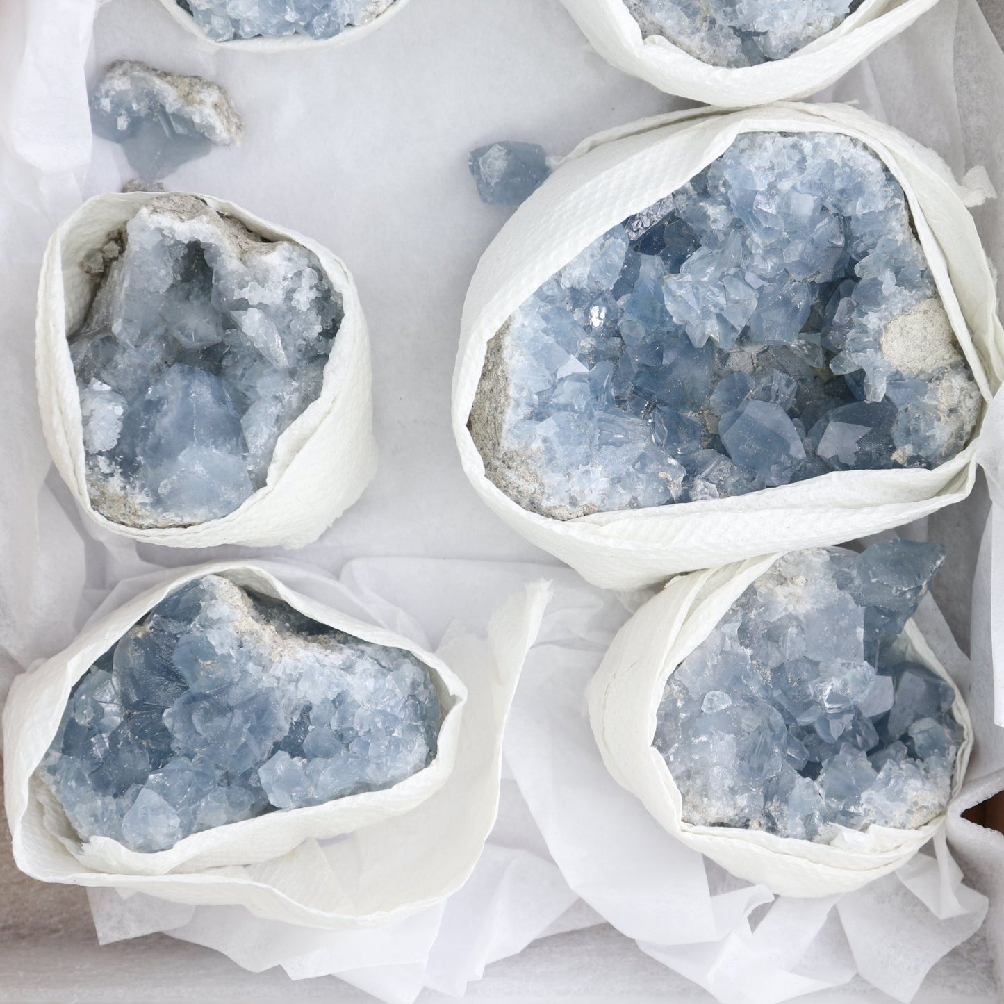 Celestite Clusters Set of 6