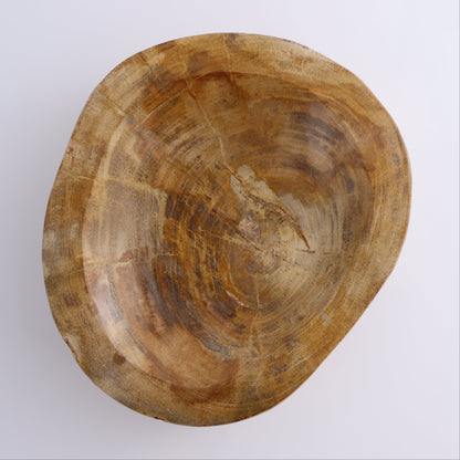 Petrified Wood Bowl - Expert Wholesale and Supplier of Wholesale Crystals & Bulk Gemstones, ["Bowls","Indonesia","Petrified Wood"]