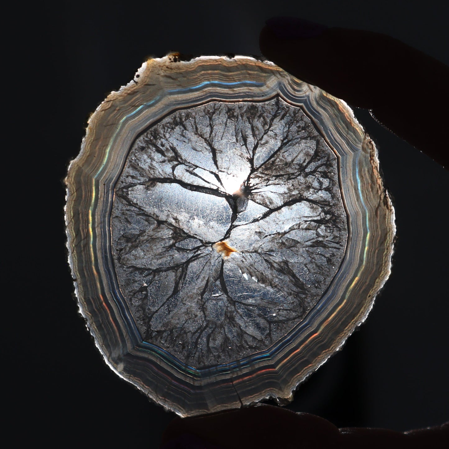 Iris Agate Slices Set of 6 - Expert Wholesale and Supplier of Wholesale Crystals & Bulk Gemstones, ["Agate","close_30","Iris Agate","Slices and Slabs"]