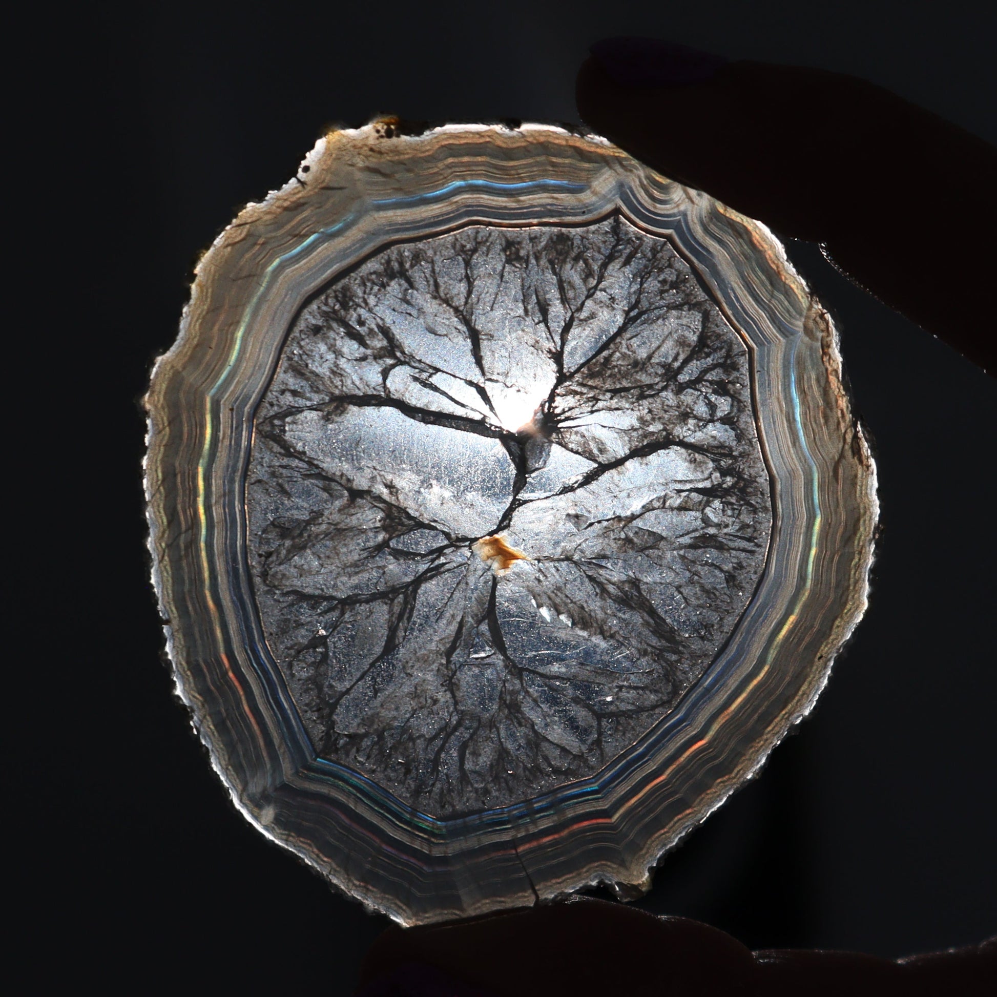 Iris Agate Slices Set of 6 - Expert Wholesale and Supplier of Wholesale Crystals & Bulk Gemstones, ["Agate","close_30","Iris Agate","Slices and Slabs"]
