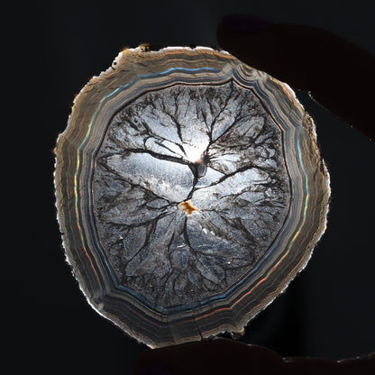 Iris Agate Slices Set of 6 - Expert Wholesale and Supplier of Wholesale Crystals & Bulk Gemstones, ["Agate","close_30","Iris Agate","Slices and Slabs"]