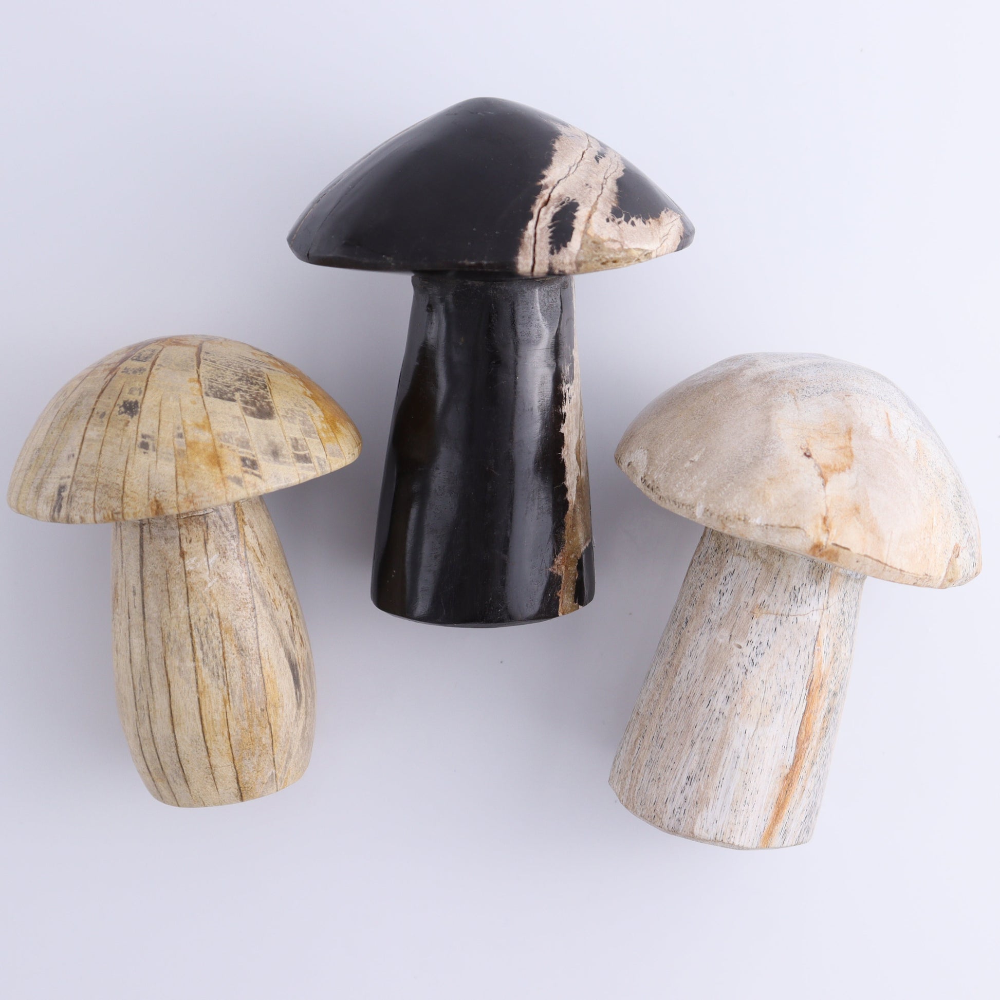 Petrified Wood Mushrooms Set of 3 - Expert Wholesale and Supplier of Wholesale Crystals & Bulk Gemstones, ["Indonesia","Mushrooms","Petrified Wood"]