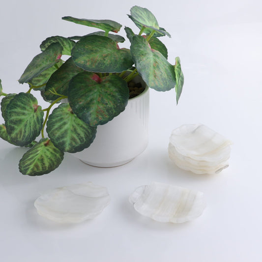 One Mexican Onyx/Calcite White Shell Dish