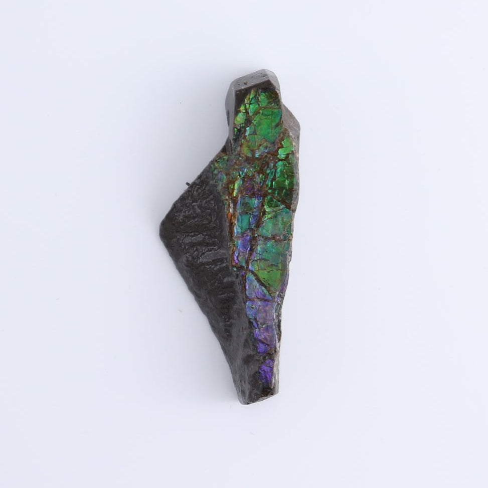 Ammolite Rough Set of 3