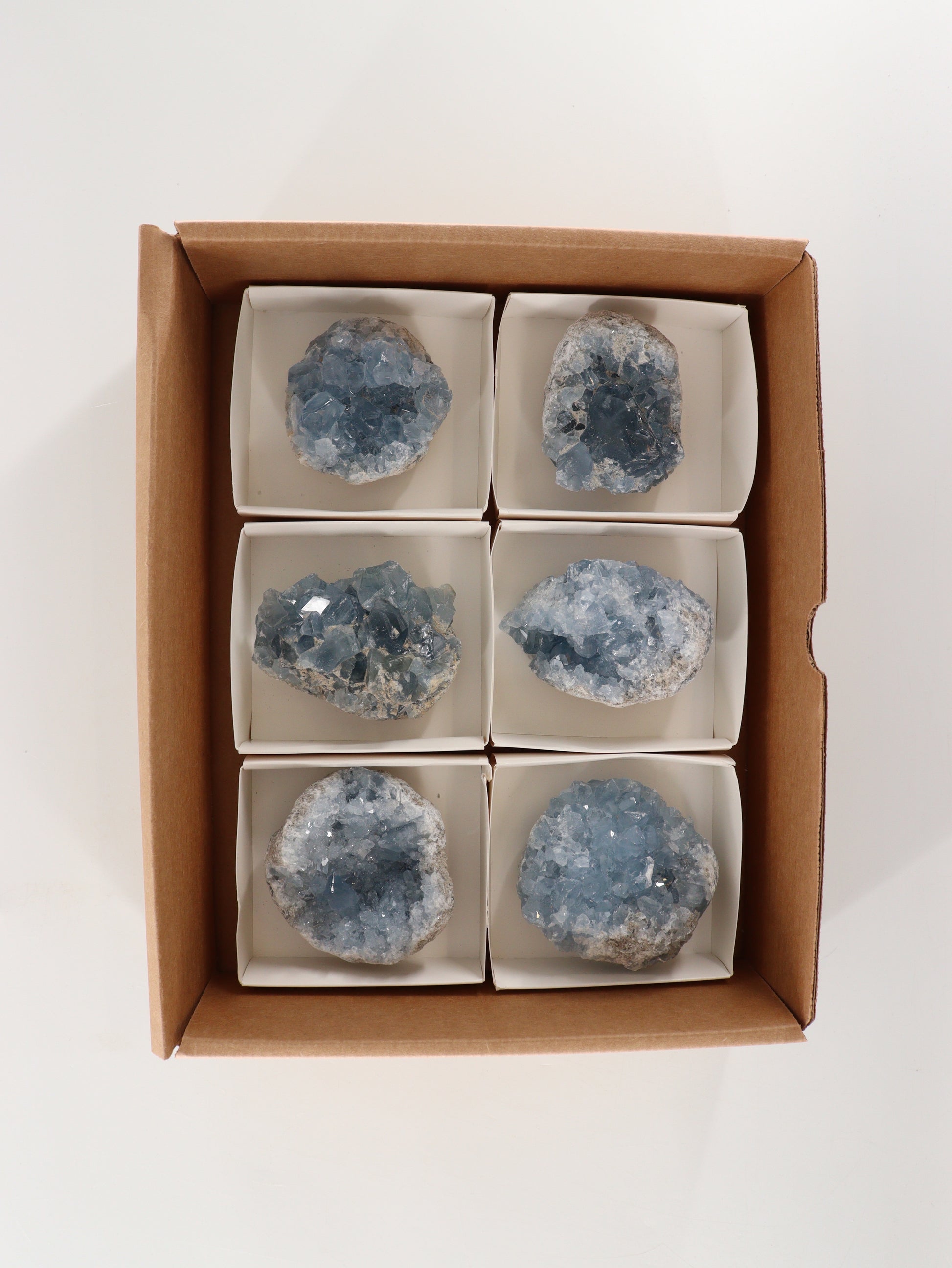 Celestite Clusters Set of 6 - Expert Wholesale and Supplier of Wholesale Crystals & Bulk Gemstones, []