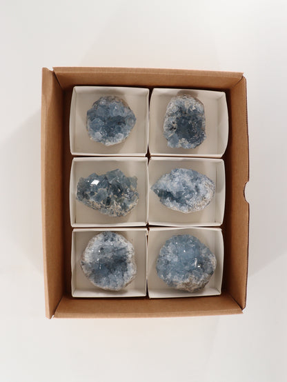 Celestite Clusters Set of 6 - Expert Wholesale and Supplier of Wholesale Crystals & Bulk Gemstones, []