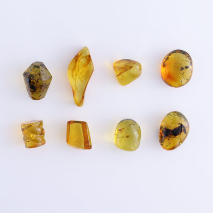 Chiapas Mexico Amber Freeforms Set of 8 - Expert Wholesale and Supplier of Wholesale Crystals & Bulk Gemstones, ["Amber","Chiapas Amber","Freeform","Freeforms","Mexico"]
