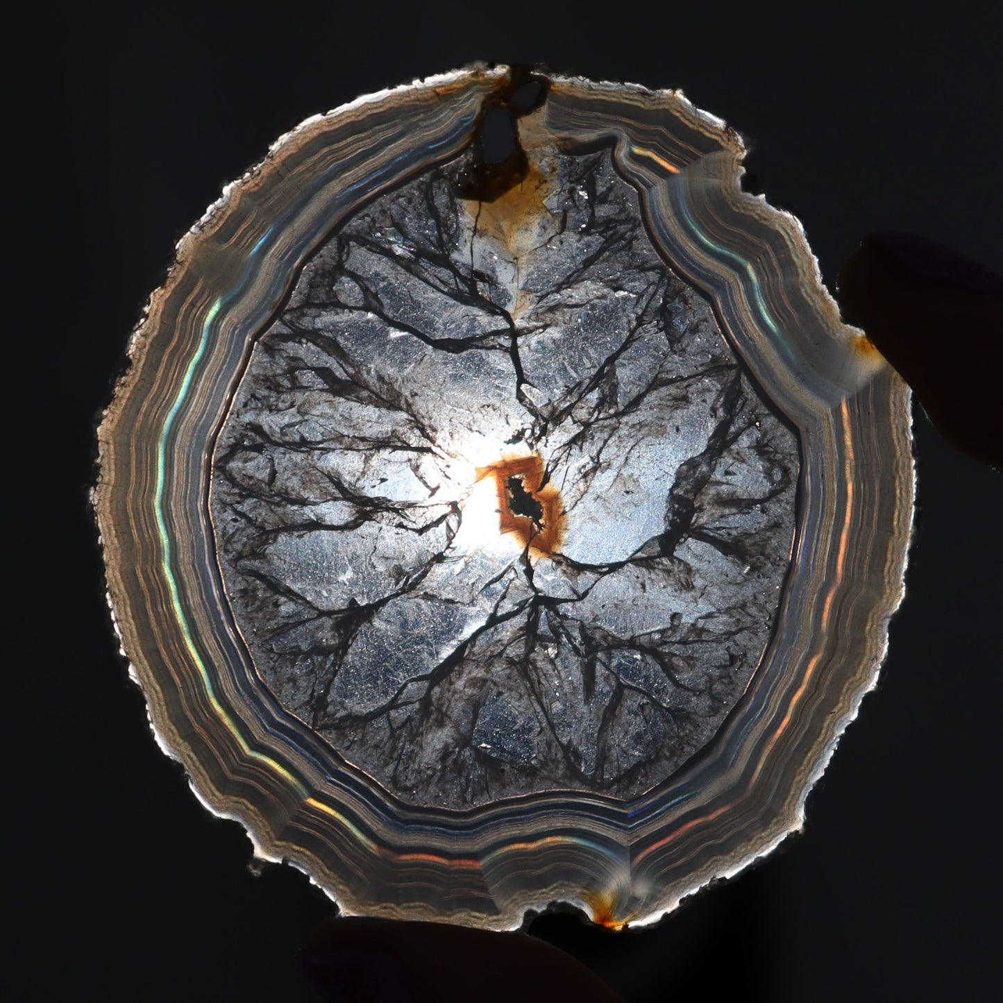 Iris Agate Slices Set of 6 - Expert Wholesale and Supplier of Wholesale Crystals & Bulk Gemstones, ["Agate","close_30","Iris Agate","Slices and Slabs"]
