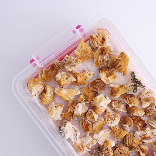 Vanadinite Barite from Morocco Flat - Expert Wholesale and Supplier of Wholesale Crystals & Bulk Gemstones, ["Flats","Morocco","Vanadinite","Vanadinite Barite"]