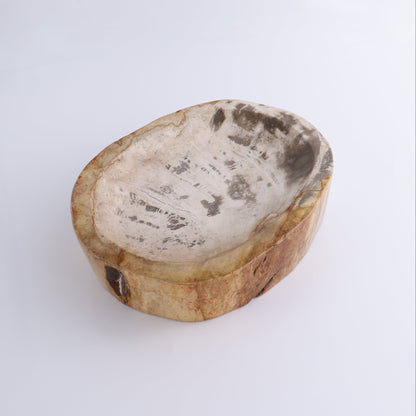 Petrified Wood Bowl - Expert Wholesale and Supplier of Wholesale Crystals & Bulk Gemstones, ["Bowls","Indonesia","Petrified Wood"]