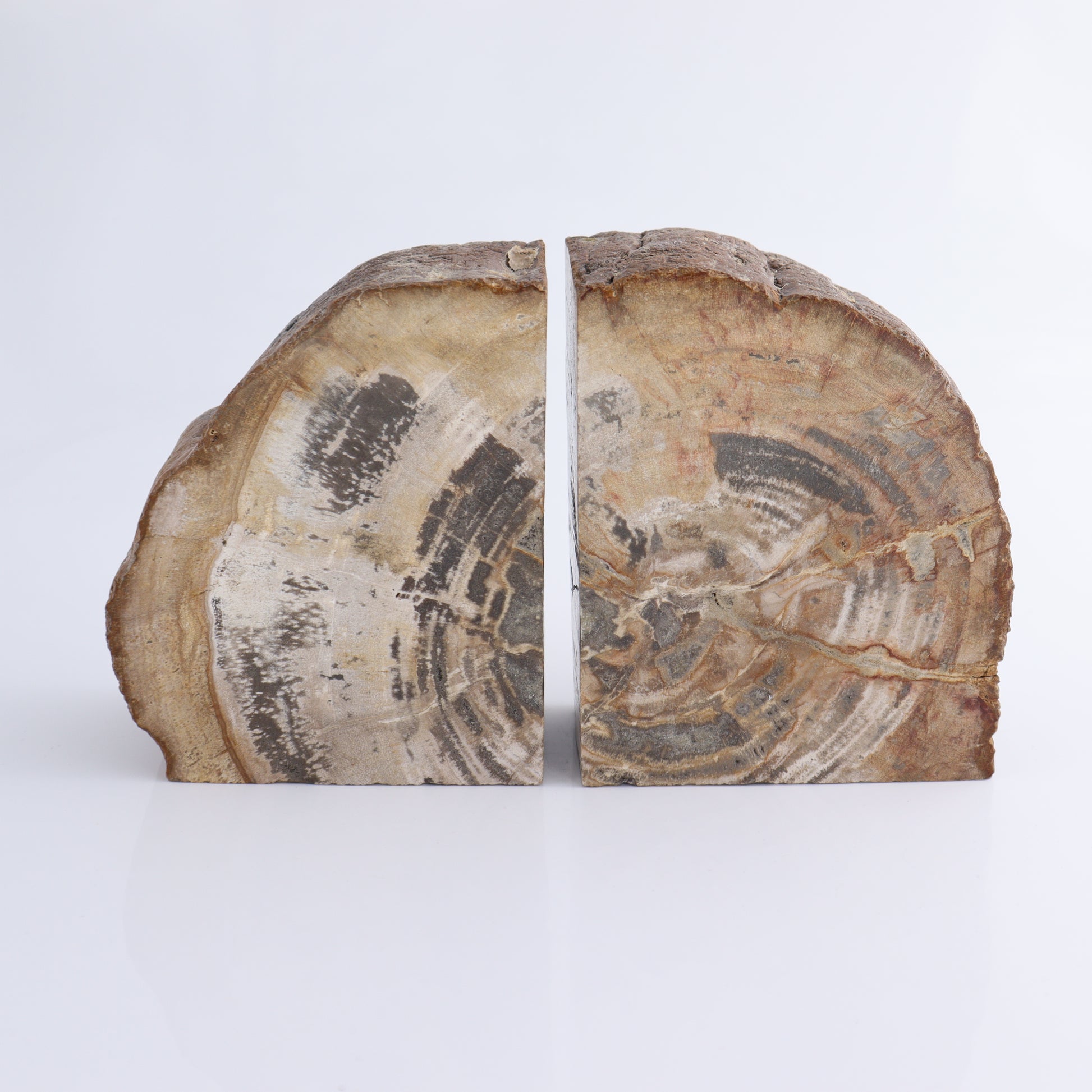 Bookends Petrified Wood - Expert Wholesale and Supplier of Wholesale Crystals & Bulk Gemstones, ["Bookends","Indonesia","Petrified Wood"]