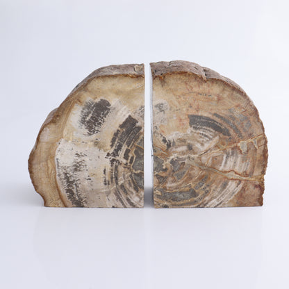 Bookends Petrified Wood - Expert Wholesale and Supplier of Wholesale Crystals & Bulk Gemstones, ["Bookends","Indonesia","Petrified Wood"]