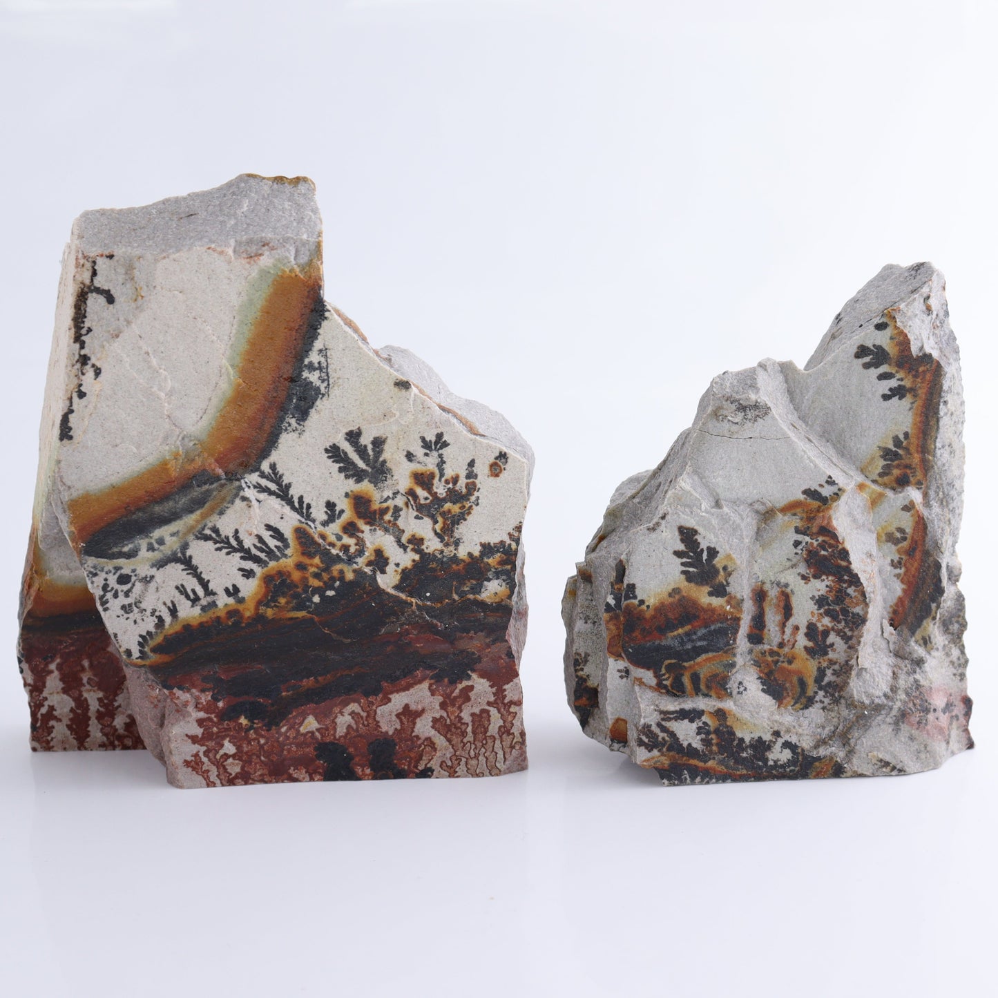 Dendrites Flat Set of 5 - Expert Wholesale and Supplier of Wholesale Crystals & Bulk Gemstones, ["Dendrite","Flats"]