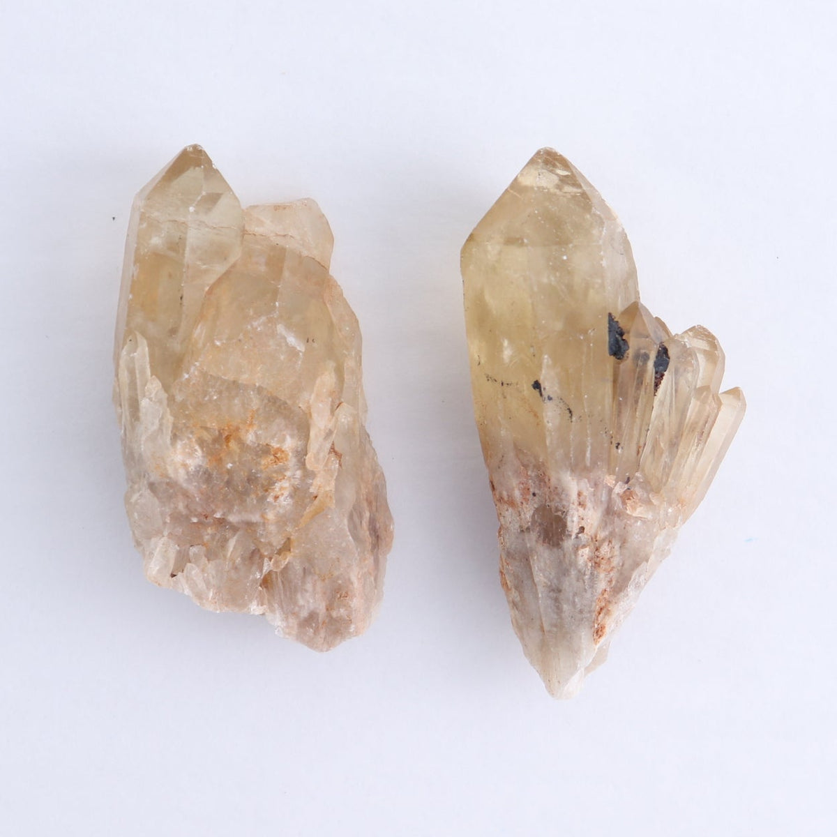 Congo Citrine Set of 12