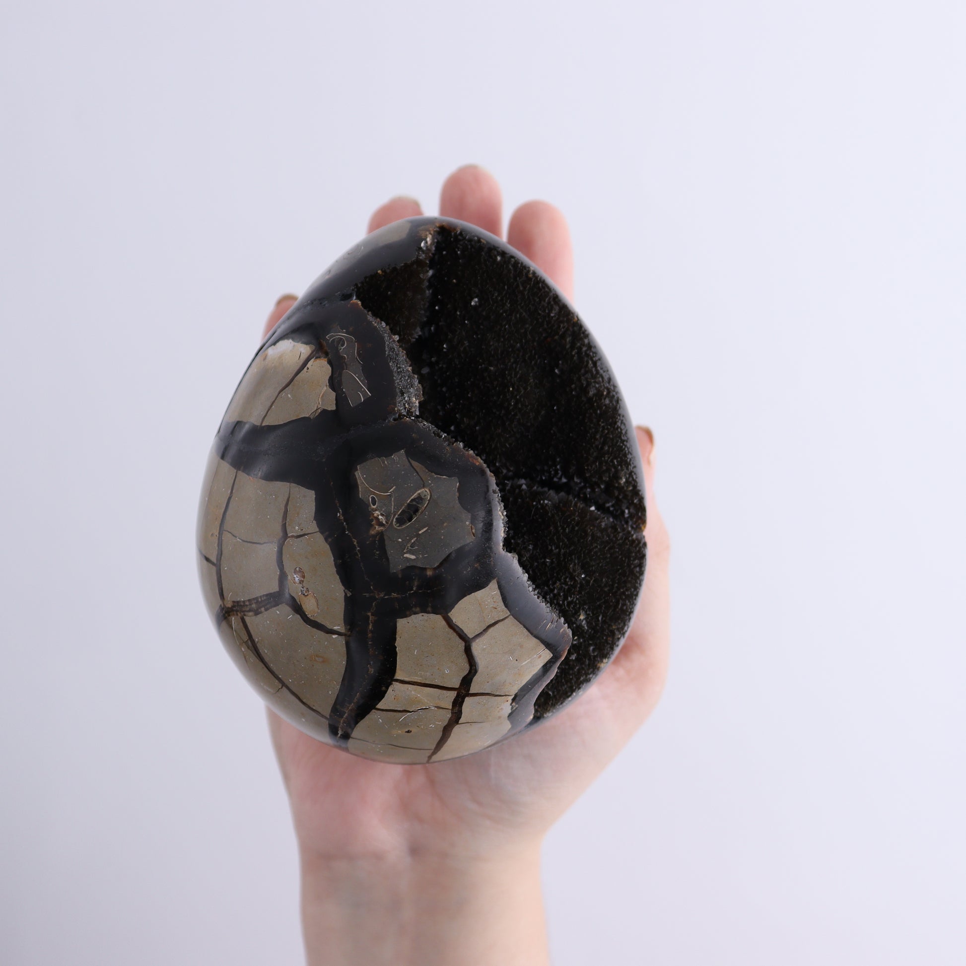 Septarian Eggs Set of 3 - Expert Wholesale and Supplier of Wholesale Crystals & Bulk Gemstones, ["Eggs","Septarian"]