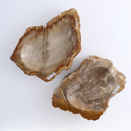 One Petrified Wood Brown Rough Bowl