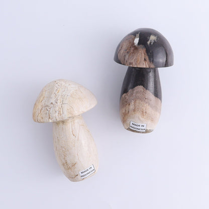 Petrified Wood Mushrooms Set of 4 - Expert Wholesale and Supplier of Wholesale Crystals & Bulk Gemstones, ["Indonesia","Mushrooms","Petrified Wood"]