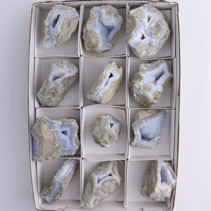 Blue Lace Agate Freeforms Set of 12