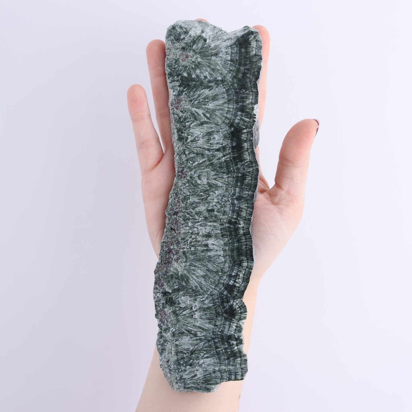Seraphinite Slices Set of 3 - Expert Wholesale and Supplier of Wholesale Crystals & Bulk Gemstones, ["Russia","Seraphinite","Slices and Slabs"]