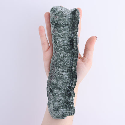 Seraphinite Slices Set of 3 - Expert Wholesale and Supplier of Wholesale Crystals & Bulk Gemstones, ["Russia","Seraphinite","Slices and Slabs"]