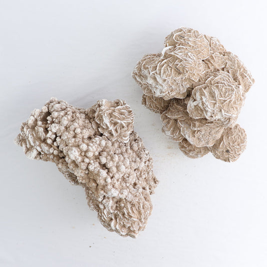 Desert Rose Set of 2
