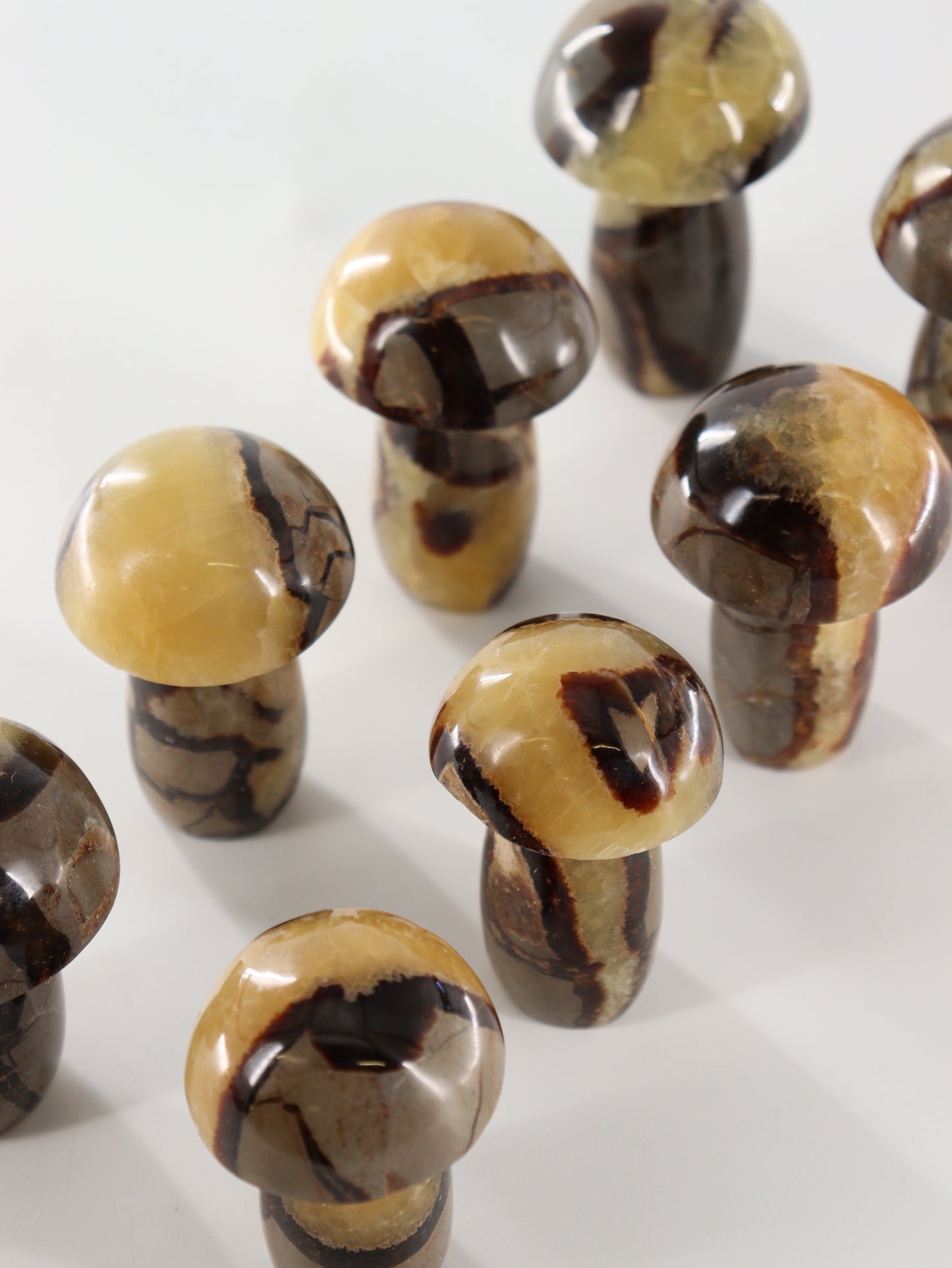 Septarian Mushrooms Set of 8 - Expert Wholesale and Supplier of Wholesale Crystals & Bulk Gemstones, []