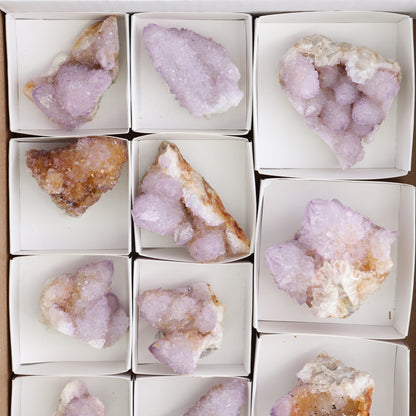 Cactus Quartz Set of 11