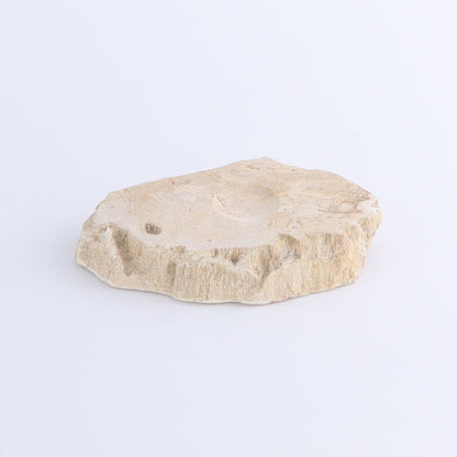 Petrified Wood Sphere Holders Set of 5 - Expert Wholesale and Supplier of Wholesale Crystals & Bulk Gemstones, ["Petrified Wood","sphere holder"]
