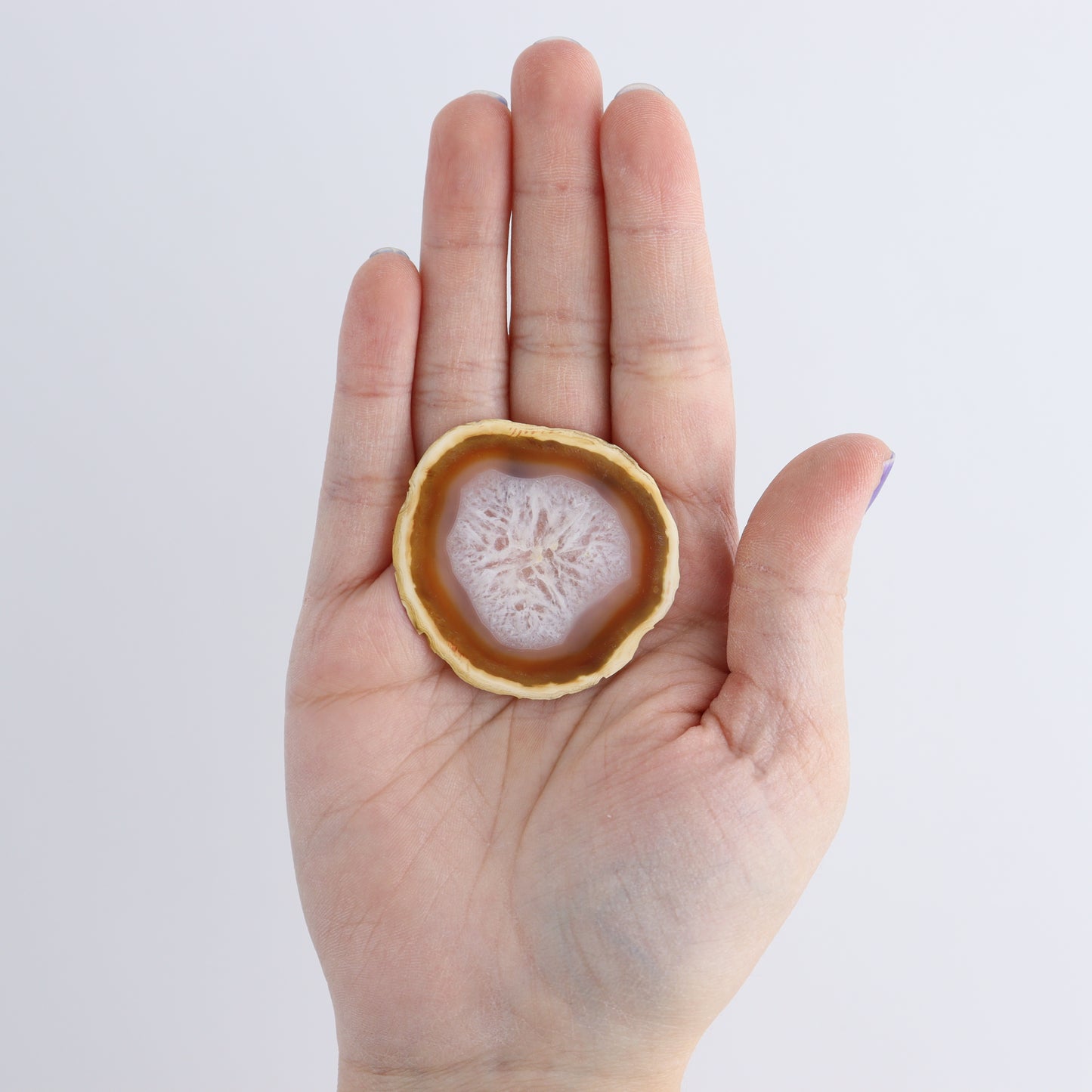 Iris Agate Slices Set of 6 - Expert Wholesale and Supplier of Wholesale Crystals & Bulk Gemstones, ["Agate","Iris Agate","Slices and Slabs"]