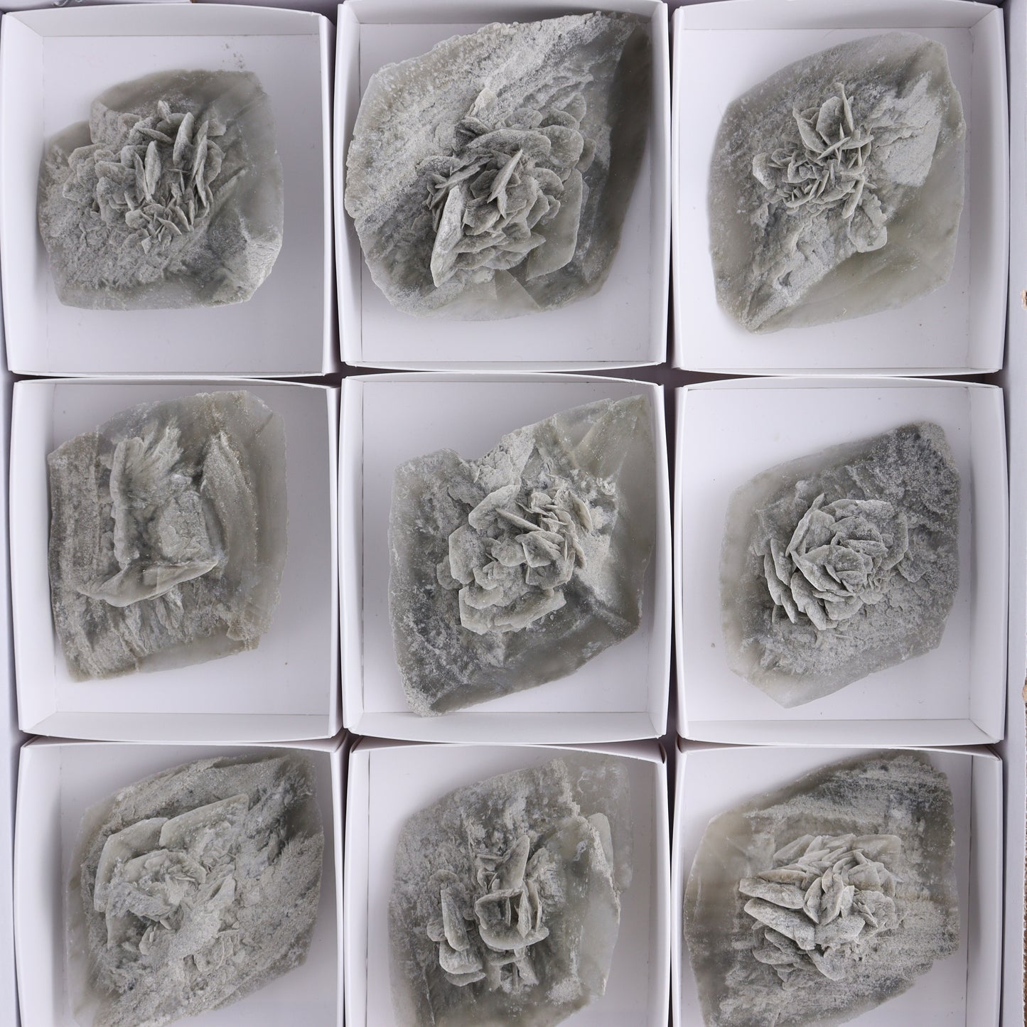 Selenite Clusters Set of 12