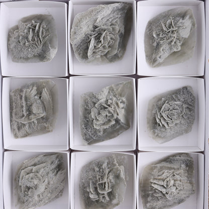 Selenite Clusters Set of 12