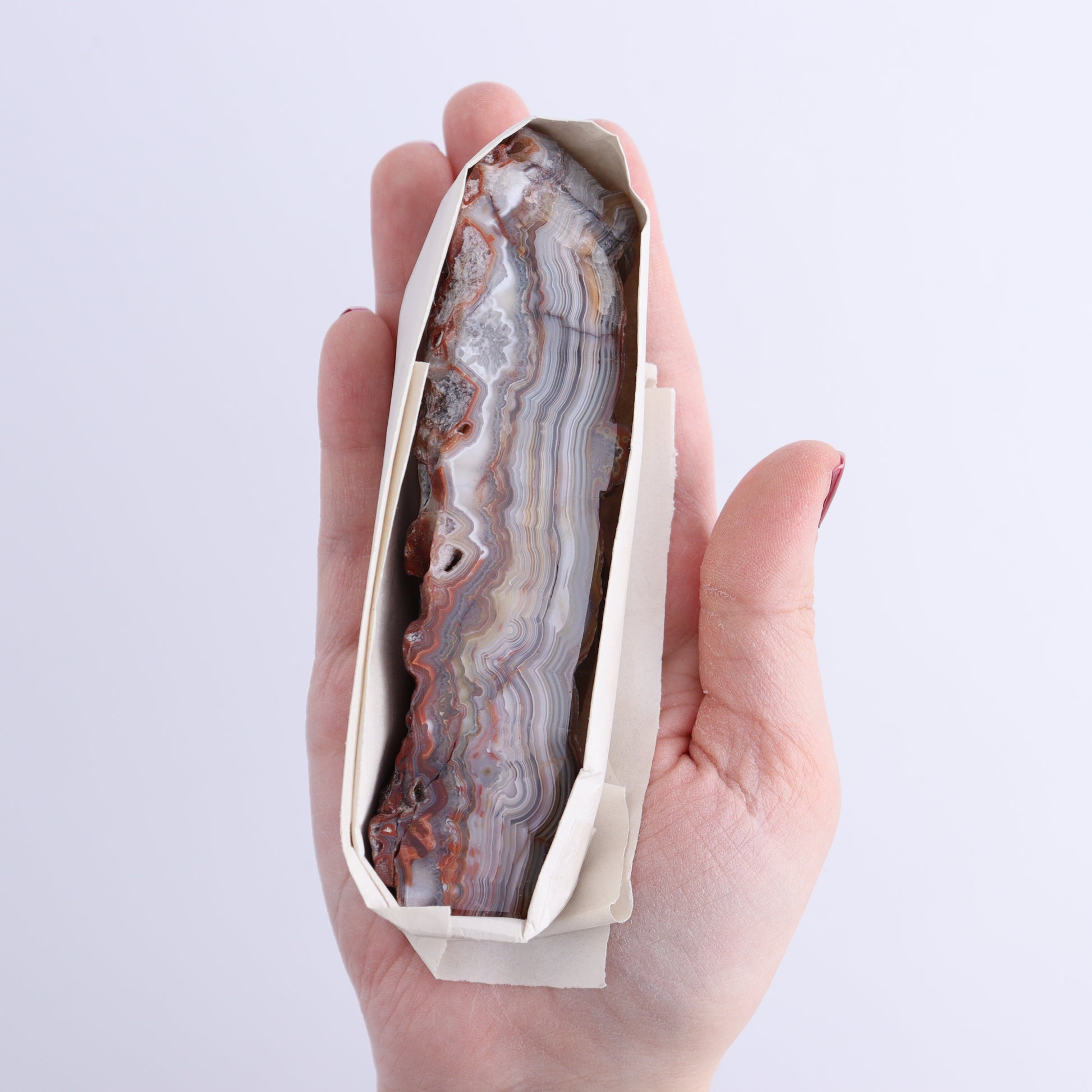 Crazy Lace Agate Flat of 12 - Expert Wholesale and Supplier of Wholesale Crystals & Bulk Gemstones, ["Crazy Lace Agate","Mexico"]