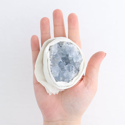Celestite Clusters Set of 6