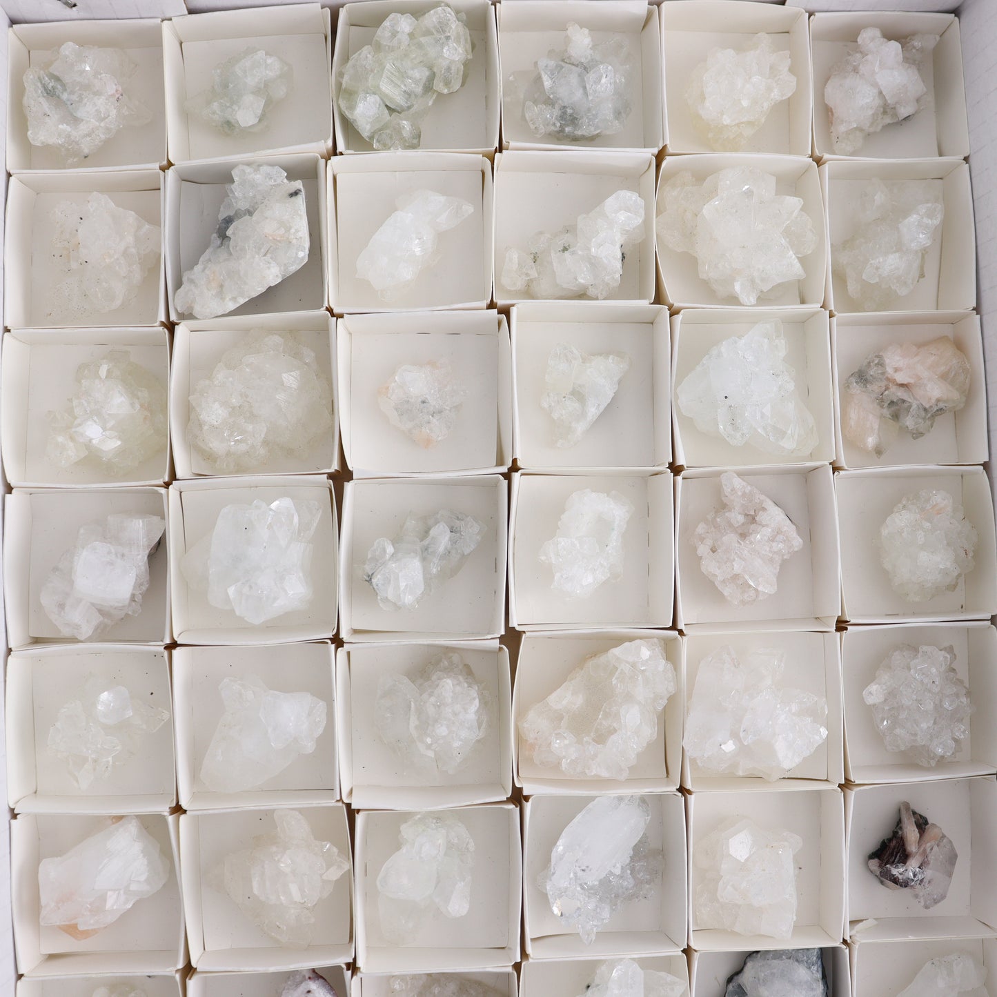 Apophyllite Clusters Flat of 54 - Expert Wholesale and Supplier of Wholesale Crystals & Bulk Gemstones, ["Apophyllite","Clusters","Flats"]