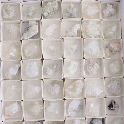 Apophyllite Clusters Flat of 54 - Expert Wholesale and Supplier of Wholesale Crystals & Bulk Gemstones, ["Apophyllite","Clusters","Flats"]