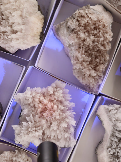 Mangano Calcite Flat Set of 12 - Expert Wholesale and Supplier of Wholesale Crystals & Bulk Gemstones, []