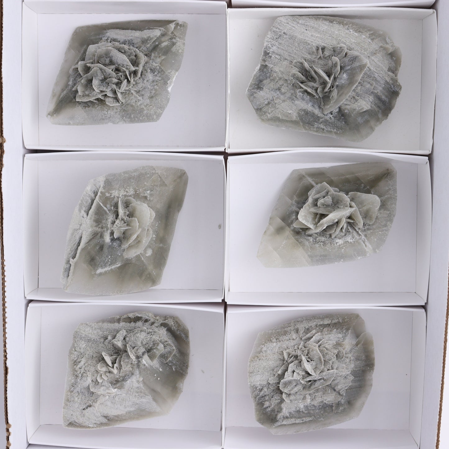 Selenite Clusters Set of 8 - Expert Wholesale and Supplier of Wholesale Crystals & Bulk Gemstones, ["Clusters","selenite"]