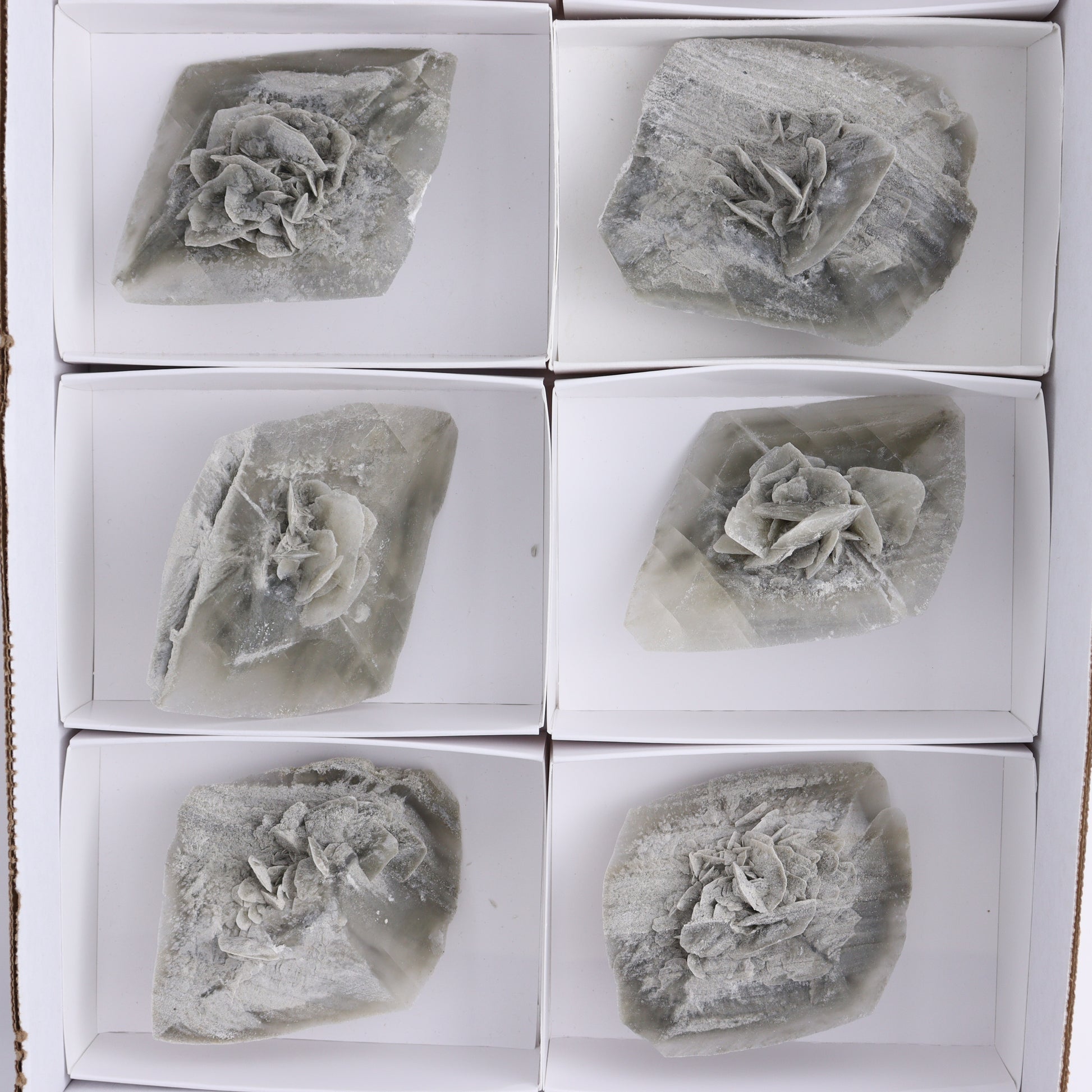 Selenite Clusters Set of 8 - Expert Wholesale and Supplier of Wholesale Crystals & Bulk Gemstones, ["Clusters","selenite"]
