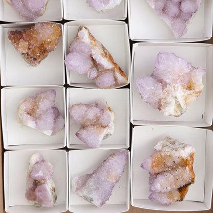 Cactus Quartz Set of 11
