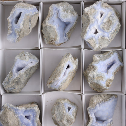 Blue Lace Agate Freeforms Set of 12