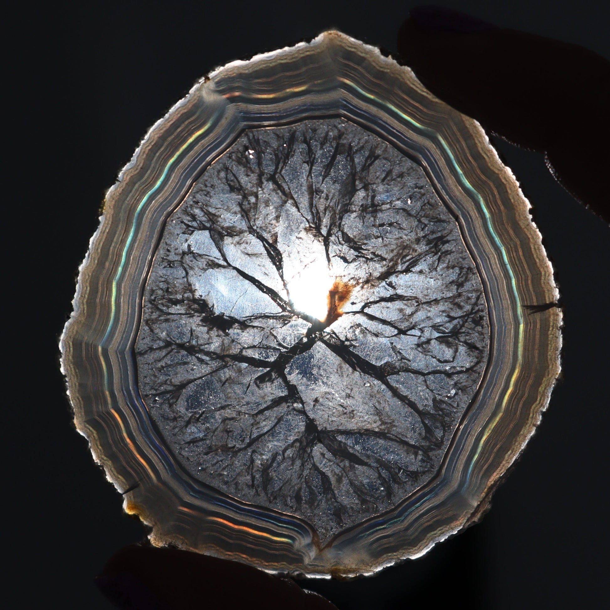 Iris Agate Slices Set of 6 - Expert Wholesale and Supplier of Wholesale Crystals & Bulk Gemstones, ["Agate","close_30","Iris Agate","Slices and Slabs"]