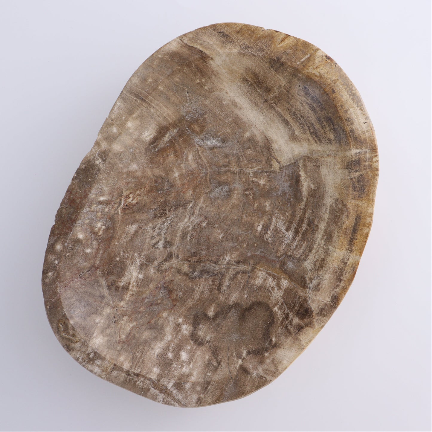 Petrified Wood Bowl - Expert Wholesale and Supplier of Wholesale Crystals & Bulk Gemstones, ["Bowls","Indonesia","Petrified Wood"]