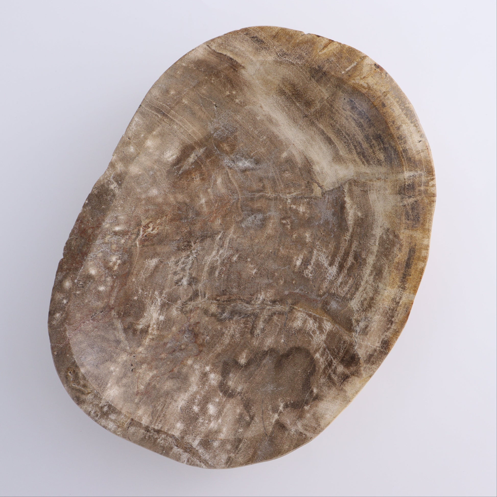 Petrified Wood Bowl - Expert Wholesale and Supplier of Wholesale Crystals & Bulk Gemstones, ["Bowls","Indonesia","Petrified Wood"]