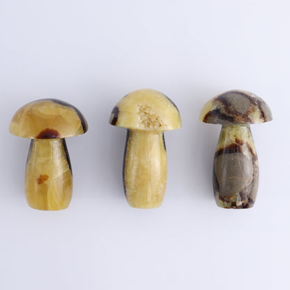 Septarian Mushrooms Set of 6 - Expert Wholesale and Supplier of Wholesale Crystals & Bulk Gemstones, ["Mushrooms","Septarian"]